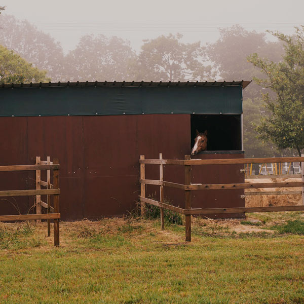 Campamento ecuestre en Galicia