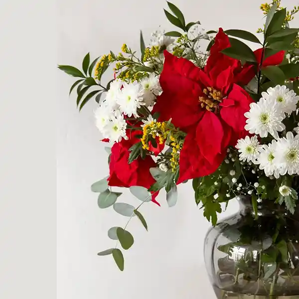 Floristeria Pamplona 