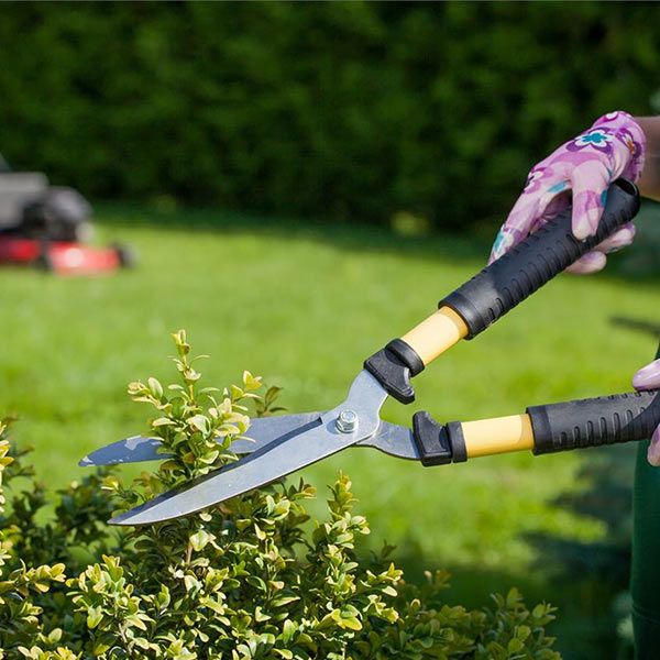 Tienda online de jardinería